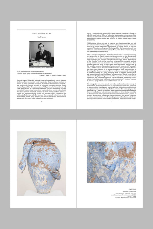 Effects 3: Mimicries