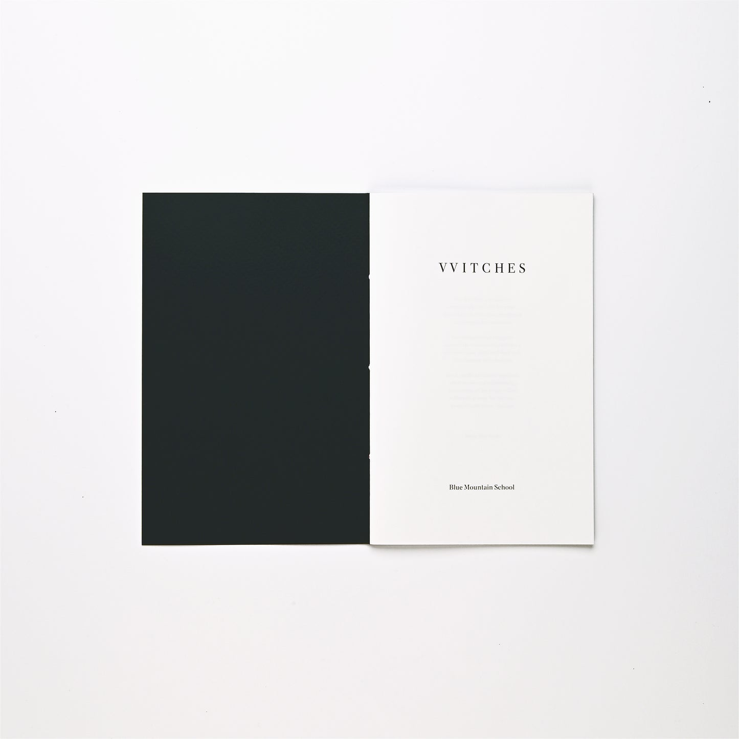 Steve Harrison Witches Publication