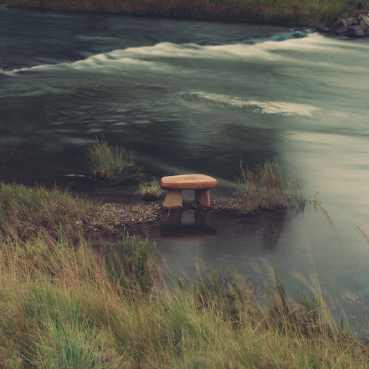 Galen Löfstedt Pebble