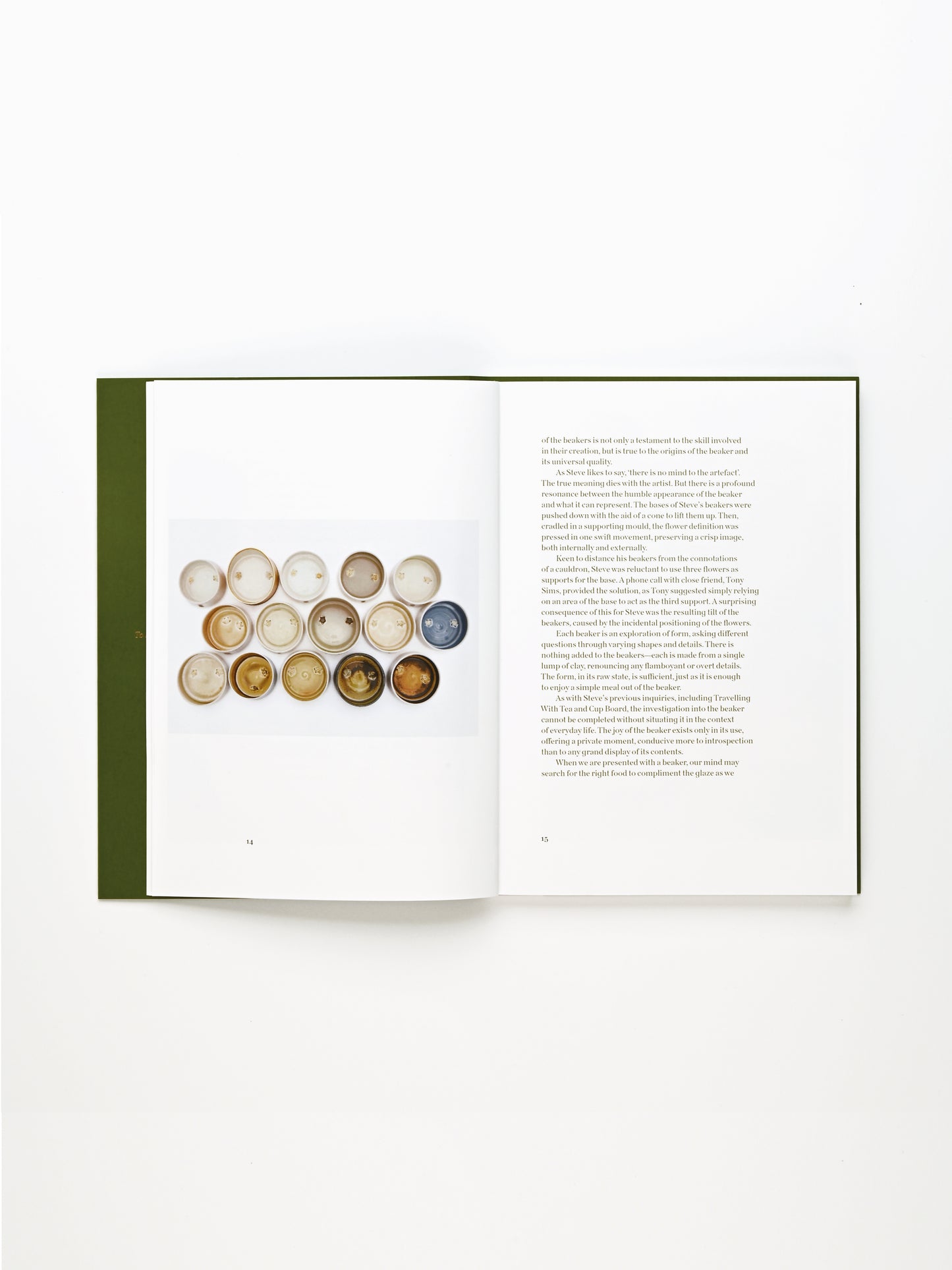 Steve Harrison The Age of the Beaker Publication