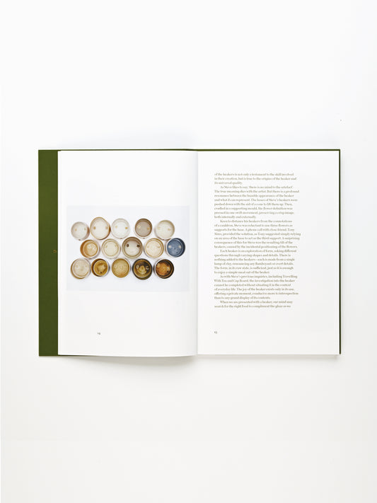 Steve Harrison The Age of the Beaker Publication