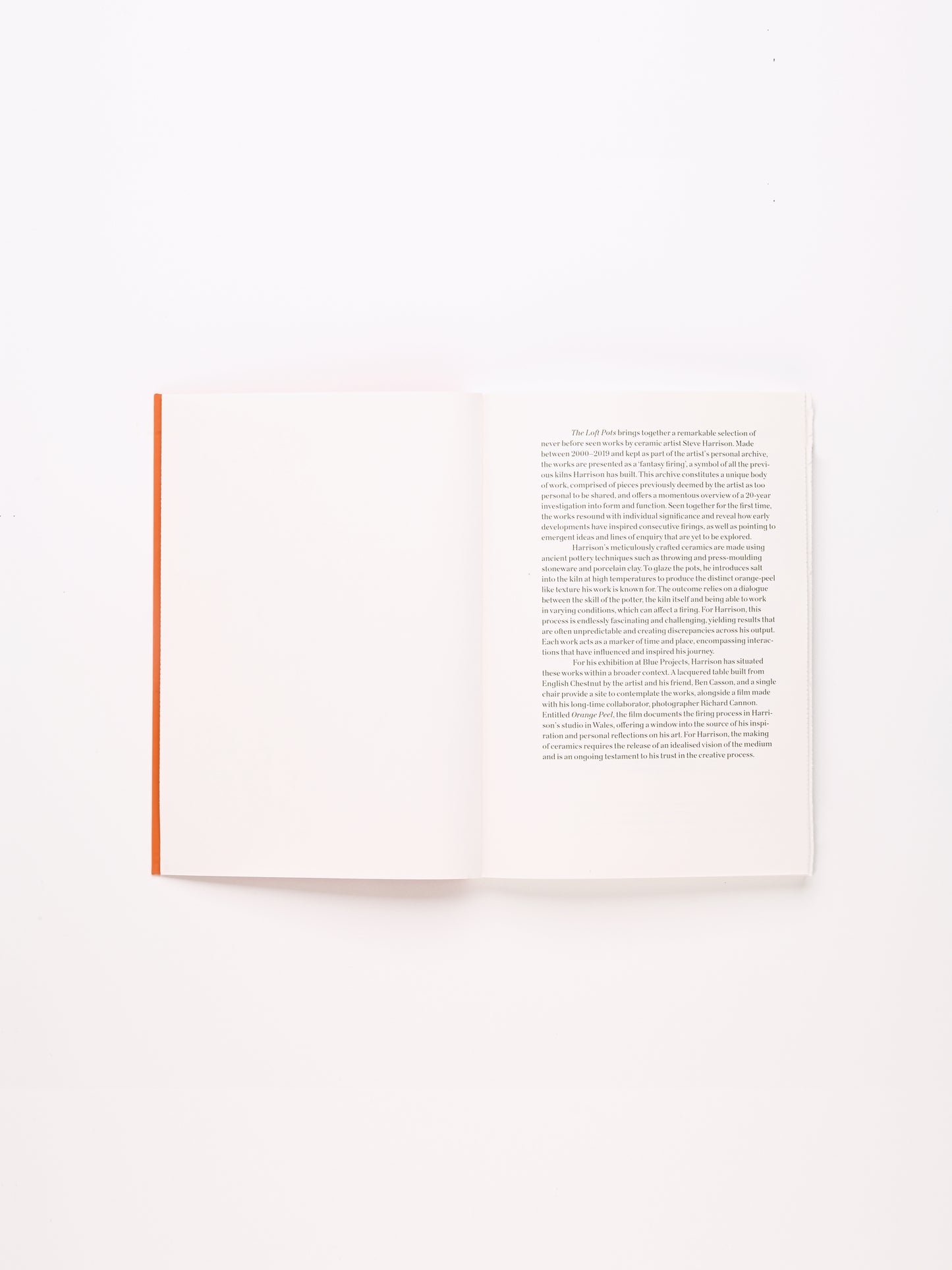 Steve Harrison The Loft Pots: Firing, Selection and Contemplation Publication