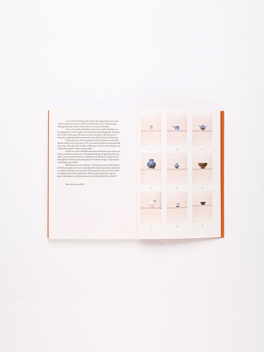 Steve Harrison The Loft Pots: Firing, Selection and Contemplation Publication